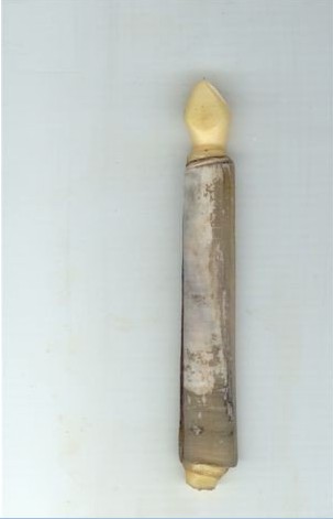 Razor Clam.jpg